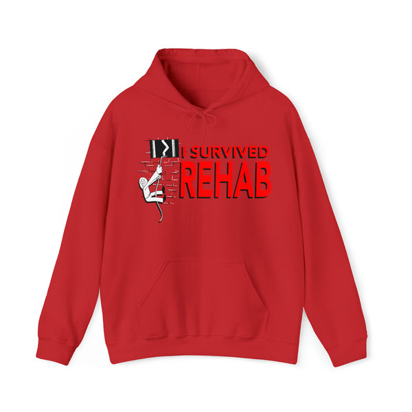 “I survived rehab” hoodie