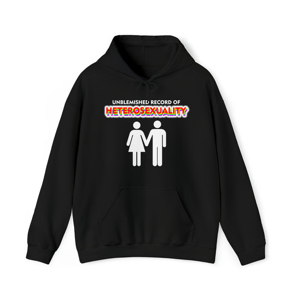 "Unblemished Record Of Heterosexuality" hoodie