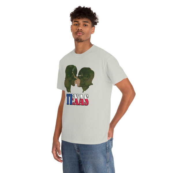 Texas State t