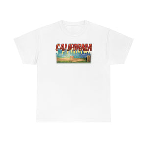 California State t