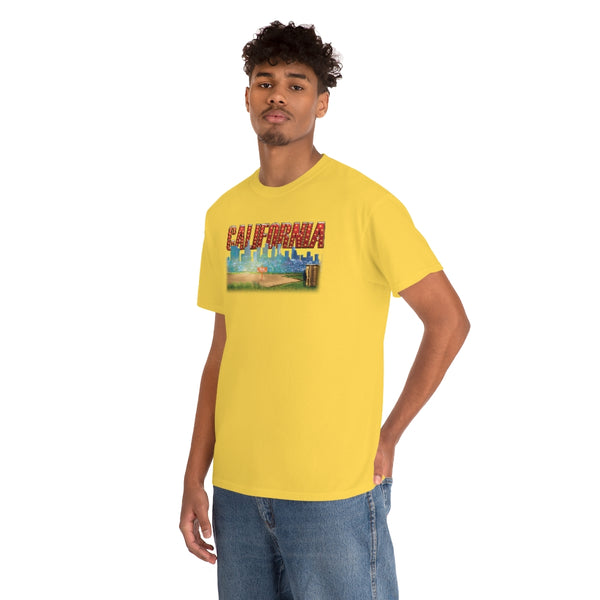 California State t