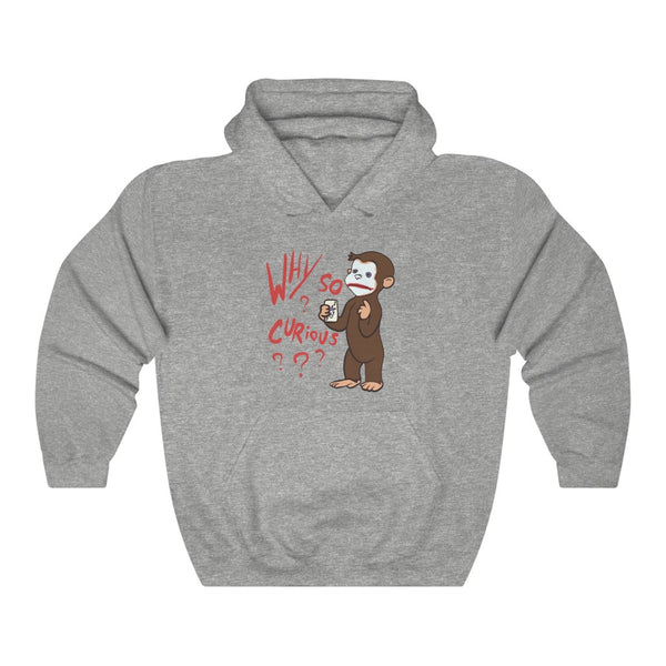 "Why So Curious?" curious george hoodie