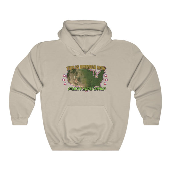 "THIS IS AMERICA NOW" united states missing ohio hoodie