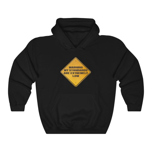 "WARNING My Standards Are Extremely Low" hoodie