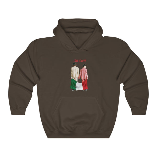 "Love Is Love" Italian Flag hoodie