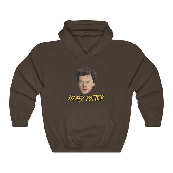 "Harry Potter" harry styles hoodie