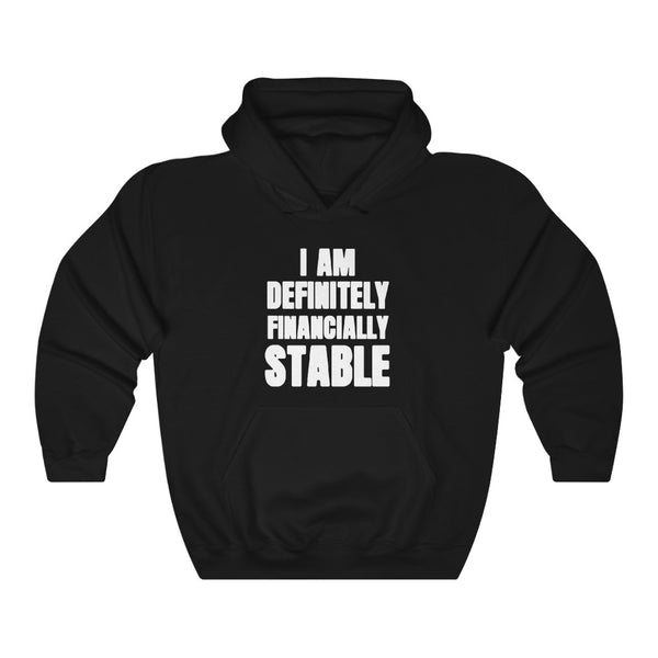 "I AM DEFINITELY FINANCIALLY STABLE" hoodie