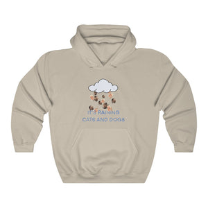 "IT'S RAINING CATS AND DOGS" snoop dogg & doja cat hoodie