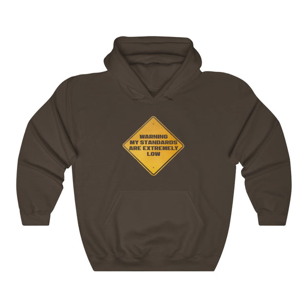 "WARNING My Standards Are Extremely Low" hoodie