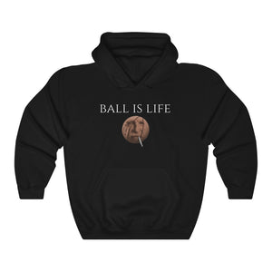 "Ball Is Life" hoodie
