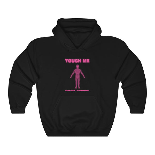 "TOUCH ME To Find Out If I Am 3 Dimensional" hoodie
