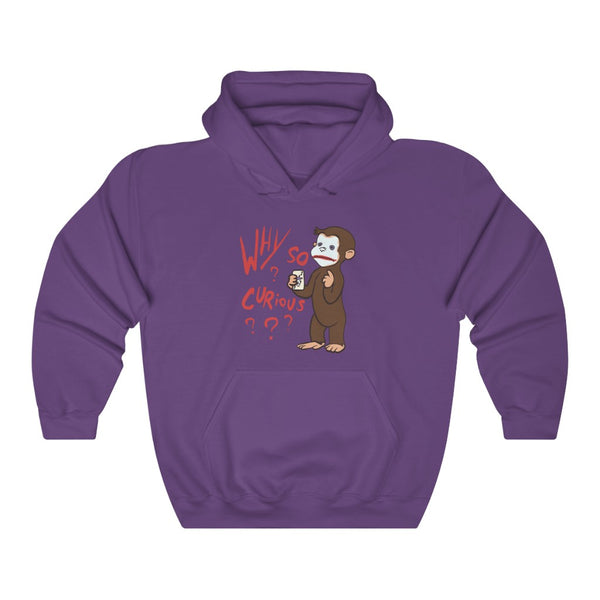 "Why So Curious?" curious george hoodie