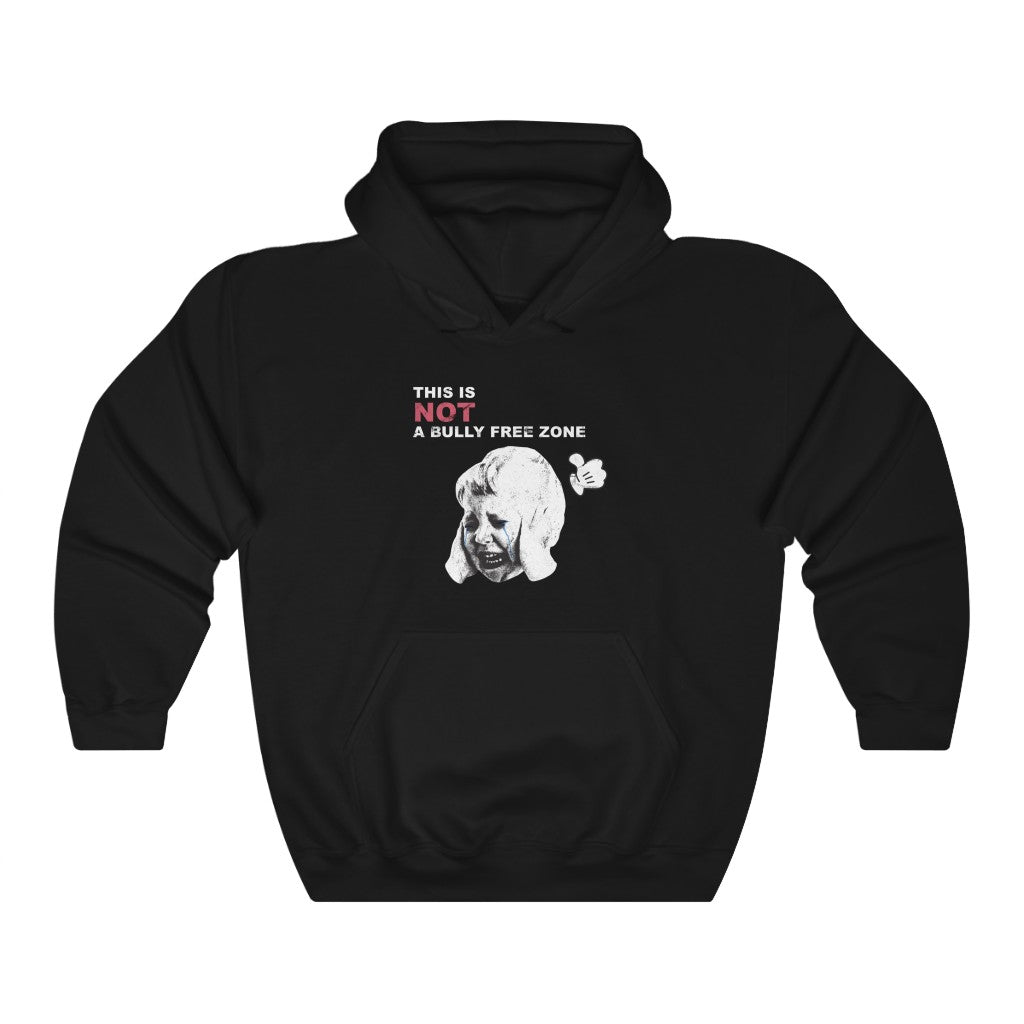 "This Is NOT A Bully Free Zone" hoodie