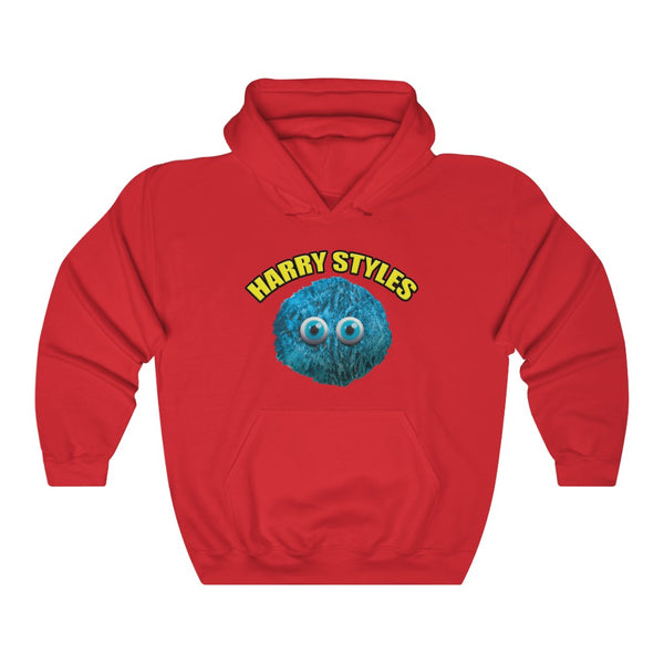 HARRY STYLES hoodie