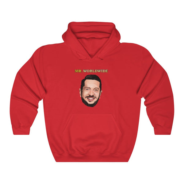 "Mr. Worldwide" sal vulcano hoodie