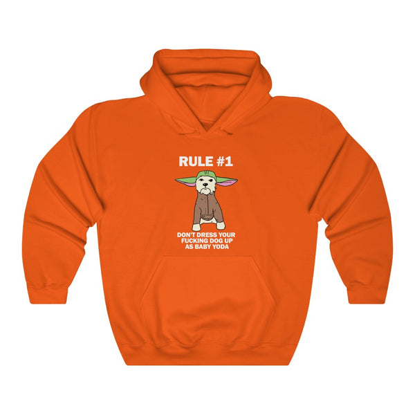 "Don't Dress Your Fucking Dog Up As Baby Yoda" Halloween Rule #1 hoodie
