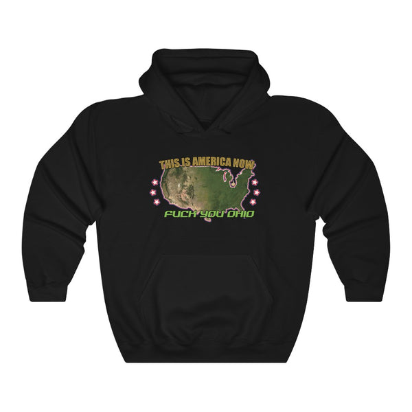 "THIS IS AMERICA NOW" united states missing ohio hoodie