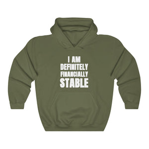 "I AM DEFINITELY FINANCIALLY STABLE" hoodie