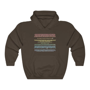 American Airlines Privacy Policy hoodie