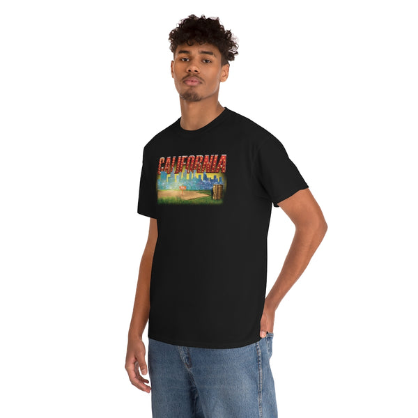 California State t