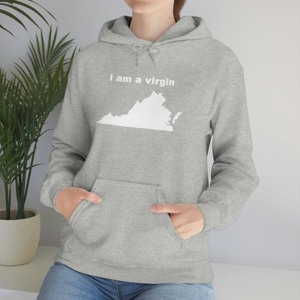 "I am a virgin" hoodie