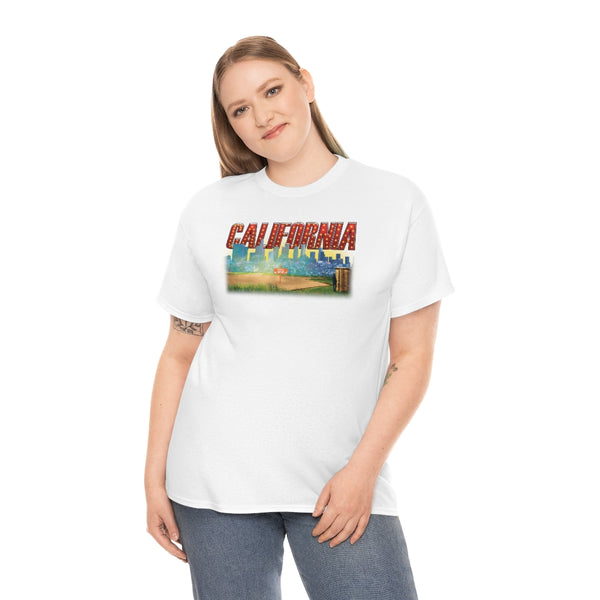 California State t