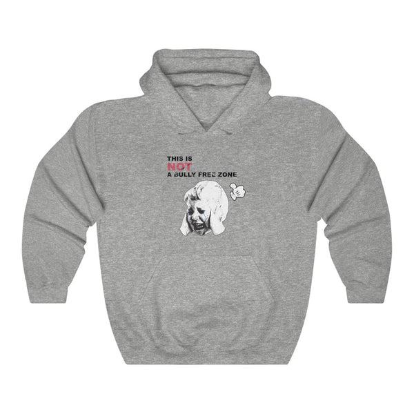 "This Is NOT A Bully Free Zone" hoodie